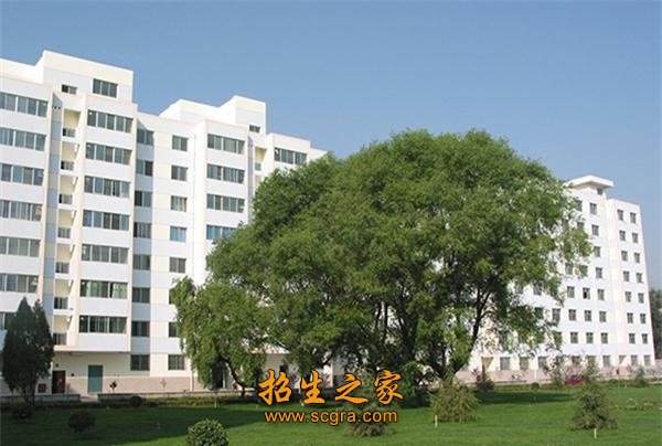 学校环境