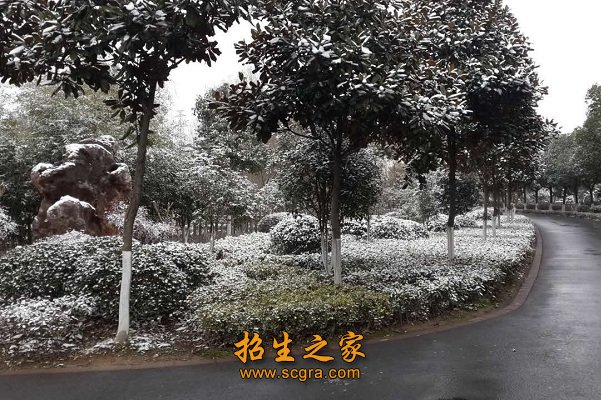 南京华东信息工程技工学校