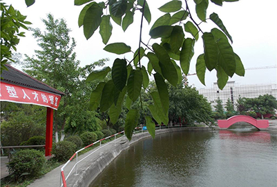 2019年绵阳市职业技术学校招生办联系电话