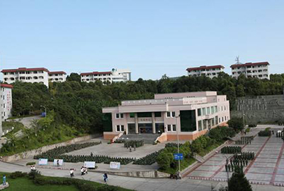 四川幼儿师范高等专科学校2019年招生计划