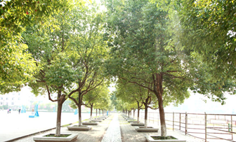 四川中医药高等专科学校校园风光