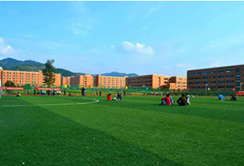 运动足球场一角