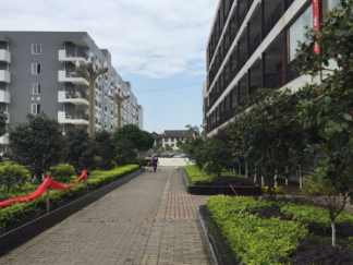 成都的职业学校,药剂专业