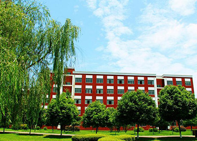 åå·ç大è±è²æä¸å¦