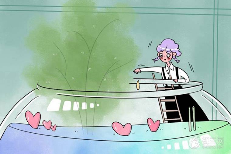 中专是什么意思