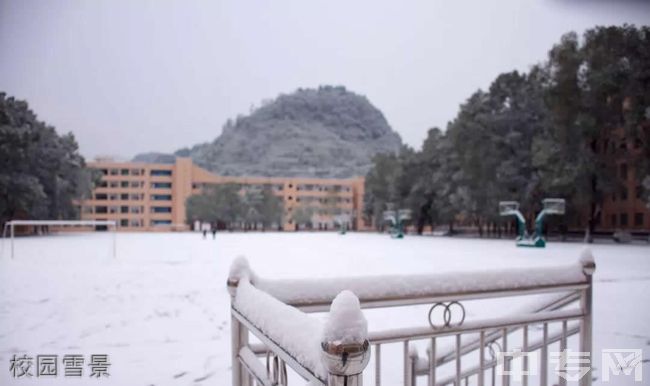 重庆酉阳四中校园雪景