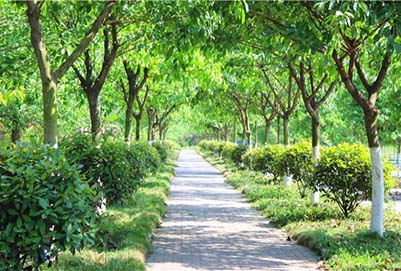 重庆航天职业技术学校录取准则如何