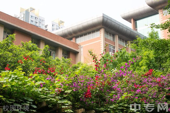 重庆八中校园环境