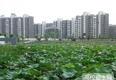 乐山师范学院体育教育专业2021年招生简章