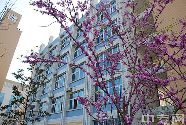 重庆市礼嘉中学校教学楼