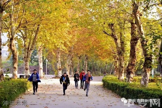 开州区中学冲进未来