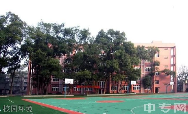 重庆市北碚田家炳中学校园环境 重庆市北碚田家炳中学校园环境