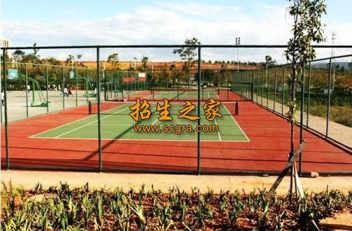 云南交通职业技术学院录取规则_就业情况