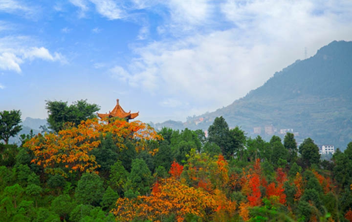 西华大学继续教育学院2019报名时间及报名方式