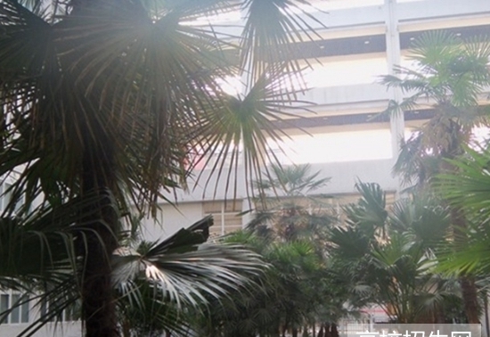 阿坝师范学院2021招生办电话及联系方式