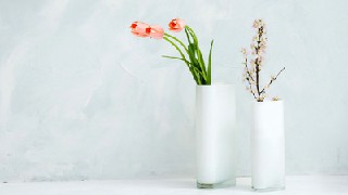 四川文化产业职业学院社区管理与服务专业招生简介 四川文化产业职业学院社区管理与服务专业招生简介