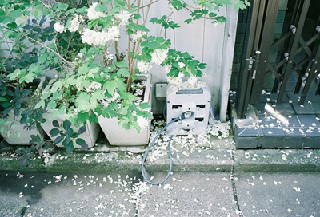 四川文化产业职业学院商务经纪与代理专业招生简介 四川文化产业职业学院商务经纪与代理专业招生简介