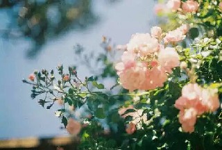 四川文化产业职业学院商务经纪与代理专业招生简介 四川文化产业职业学院商务经纪与代理专业招生简介