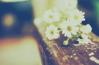 四川文化产业职业学院图文信息处理专业招生简介 四川文化产业职业学院图文信息处理专业招生简介