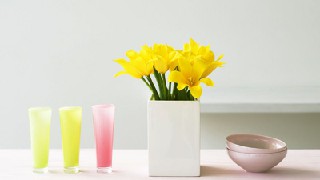 四川文化产业职业学院广播影视节目制作专业招生简介 四川文化产业职业学院广播影视节目制作专业招生简介