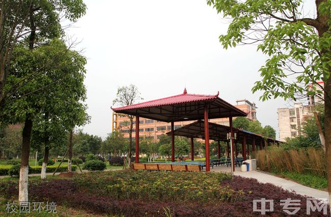 重庆市渝西中学校园环境