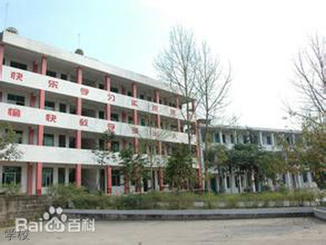 嘉陵区大通中学 学校