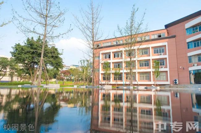 龙泉驿区新格林艺术高级中学校园景色