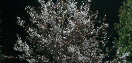 大理大学医学院药学专业招生信息简介