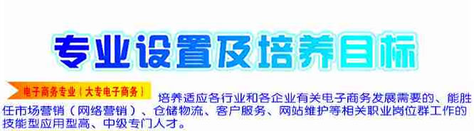 盐亭职业技术学校2019-电子商务招生(中专+大专)