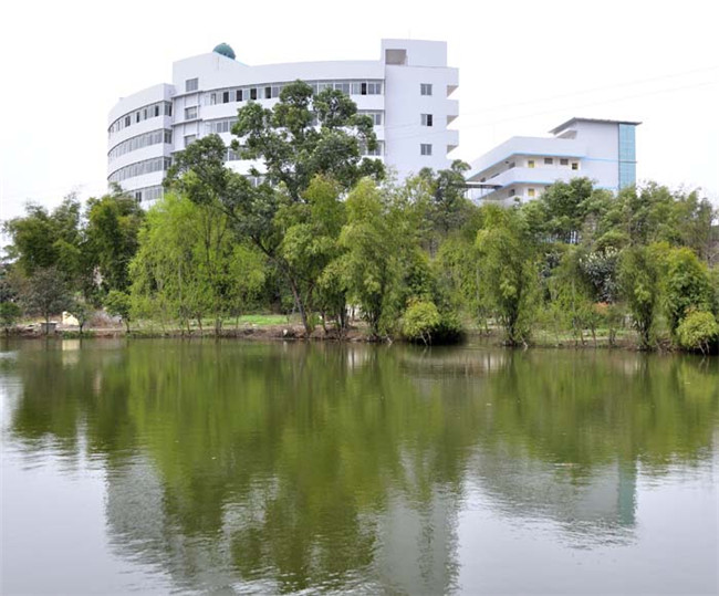 四川省幼儿师范高等专科学校图片、照片「学校环境介绍」