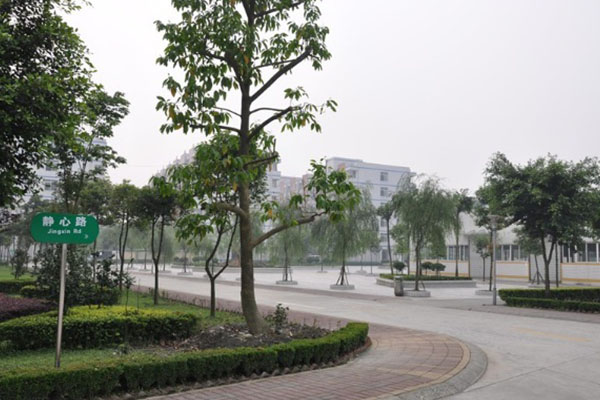 成都市民办的职业技术院校，成都市民办的职业技术院校排名