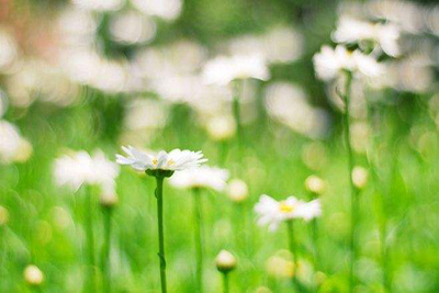 贵州省水利电力学校2021招生简章