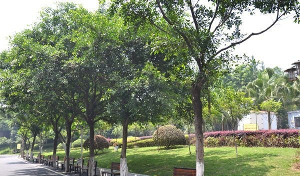 重庆光华女子职业中等专业学校获得过什么荣誉_师资如何