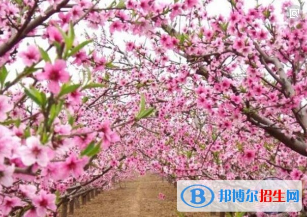 四川护理职业学院环境怎么样 周边有什么好玩的地方