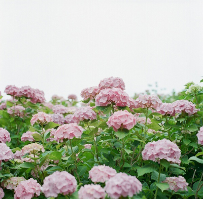 贵州省畜牧兽医学校招生条件及就业