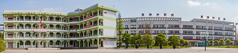 四川青神中职