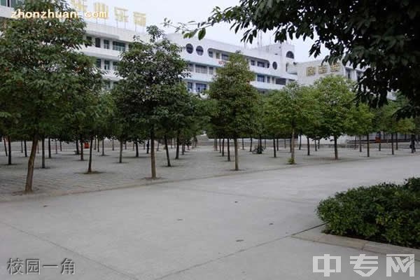 阆中江南高级职业中学校园一角