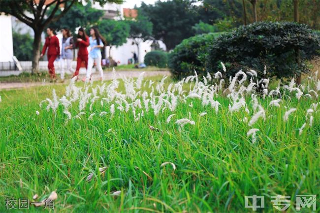 重庆海联职业技术学院校园一角