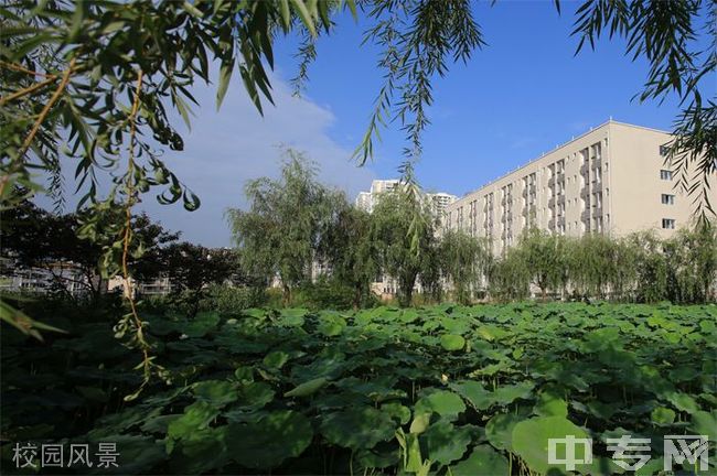 重庆安全技术职业学院校园风景