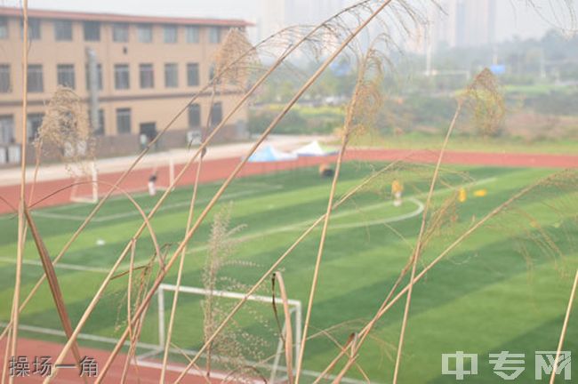 重庆科技职业学院操场一角