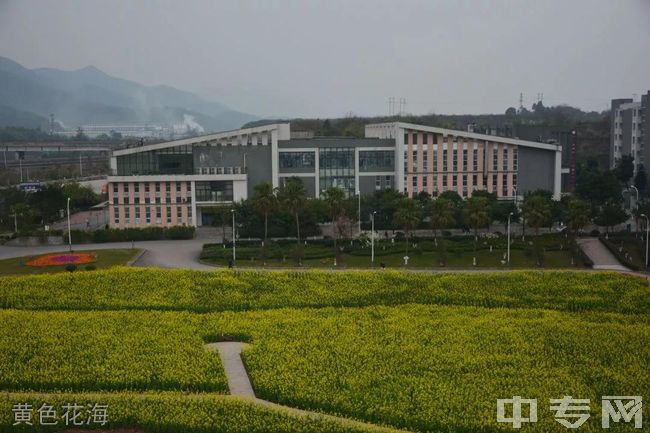 重庆商务职业学院黄色花海