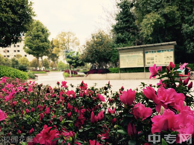 重庆经贸职业学院校园花草
