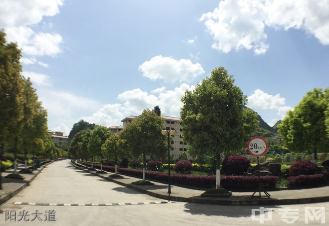 重庆经贸职业学院阳光大道