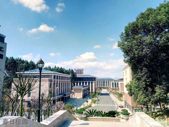 眉山药科职业学院春日校园