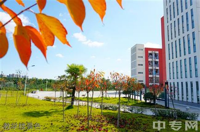 四川幼儿师范高等专科学校教学楼景色