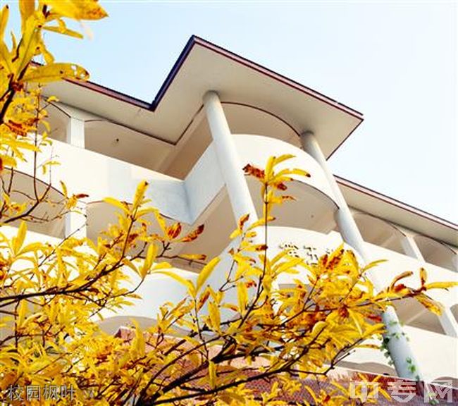 四川幼儿师范高等专科学校校园枫叶