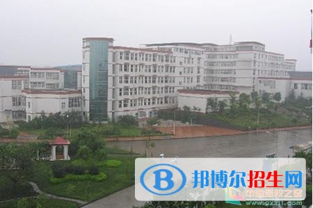 泸州中专学校读什么专业好