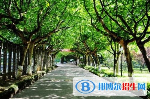 泸州中专学校有哪些比较好