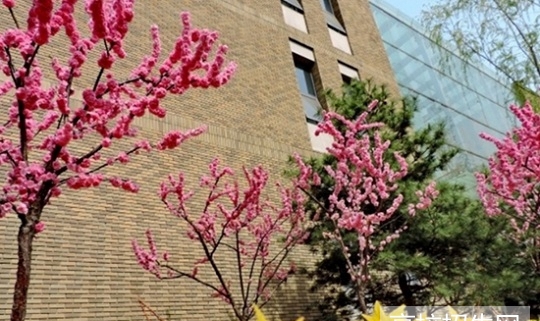 四川哪些大专学校的数学教育专业教学质量比较好？