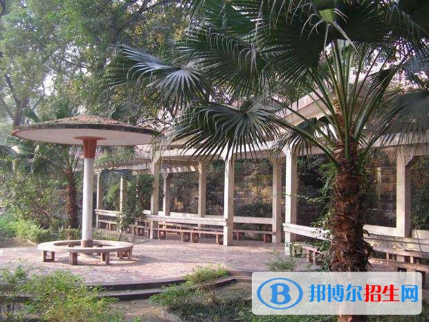 泸州中专学校都能学什么